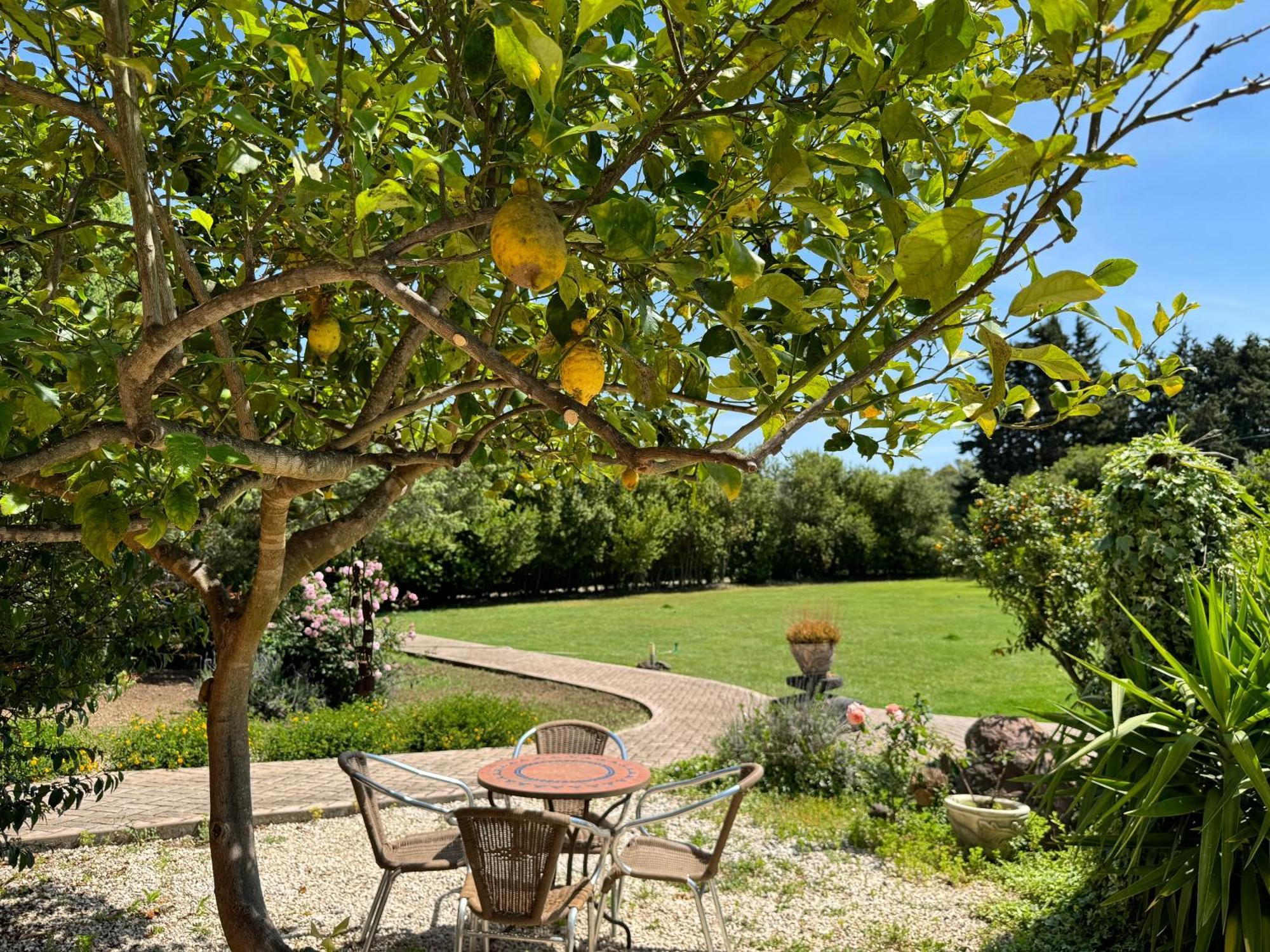L'Orto Villa San Vero Milis Luaran gambar