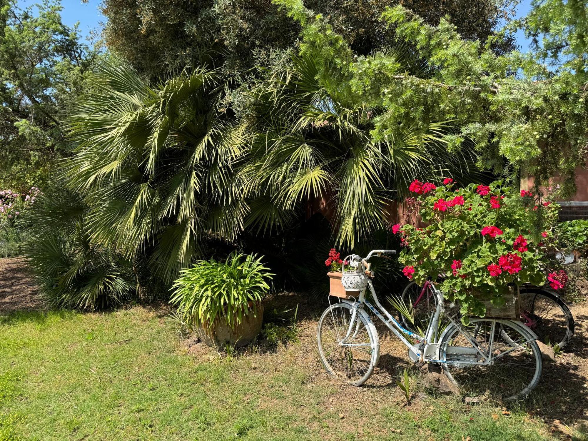 L'Orto Villa San Vero Milis Luaran gambar